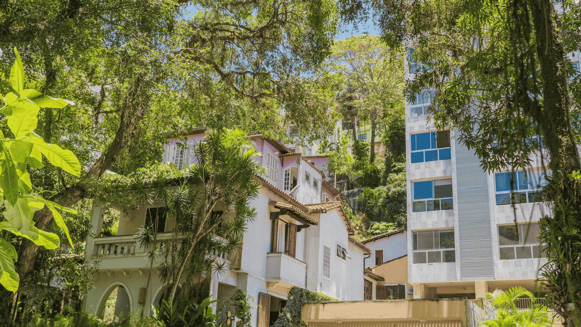 Leafy neighborhood street for everyday living in Gavea, Rio de Janeiro