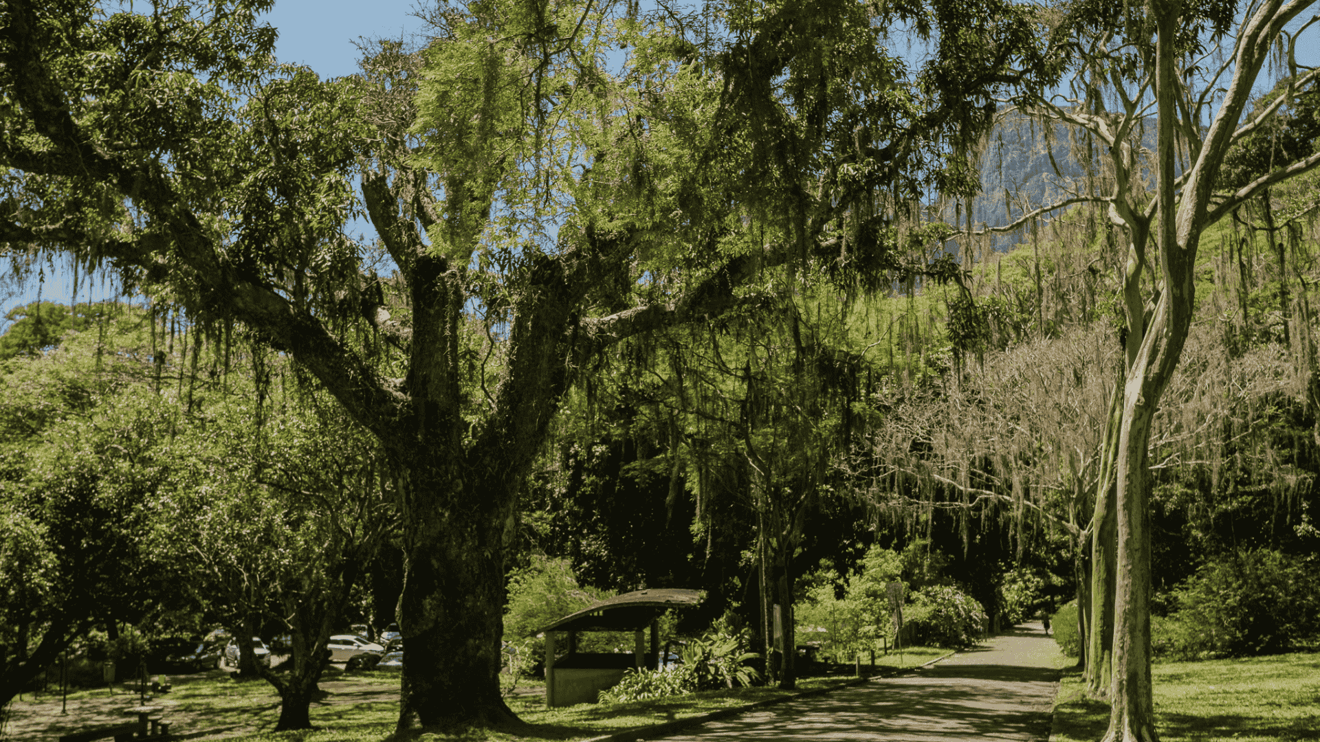 Public park setting for relocation and daily life in Gavea, Rio de Janeiro